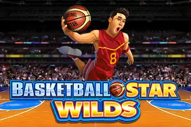 Basketball Star Wilds 281